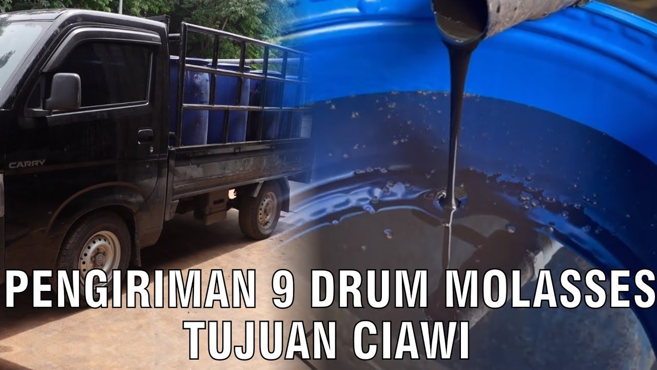 
                                 Pengiriman-9-Drum-Molasses-Tujuan-Ciawi